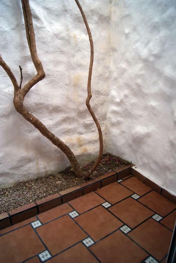 דירות Torroella de Montgrí Apartament Codina 40 מראה חיצוני תמונה